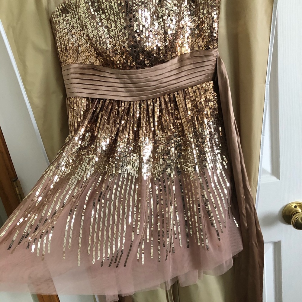 BCBG Gold Sequin Dress